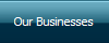 Our Businesses